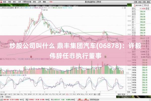 炒股公司叫什么 鼎丰集团汽车(06878)：许毅伟辞任非执行董事