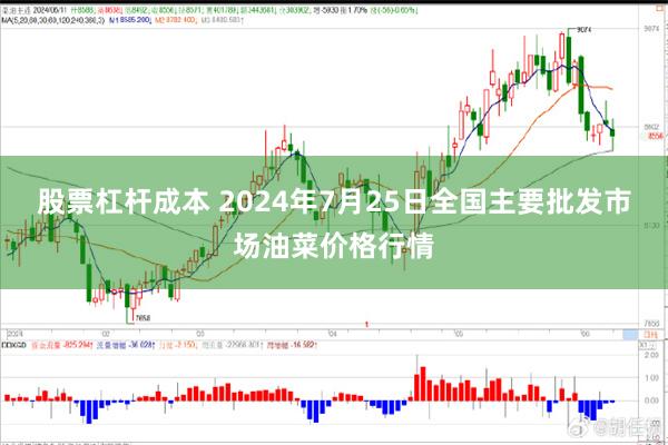 股票杠杆成本 2024年7月25日全国主要批发市场油菜价格行情