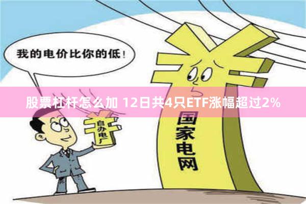 股票杠杆怎么加 12日共4只ETF涨幅超过2%