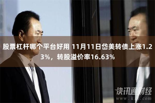 股票杠杆哪个平台好用 11月11日岱美转债上涨1.23%，转股溢价率16.63%