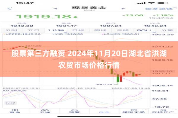 股票第三方融资 2024年11月20日湖北省洪湖农贸市场价格行情