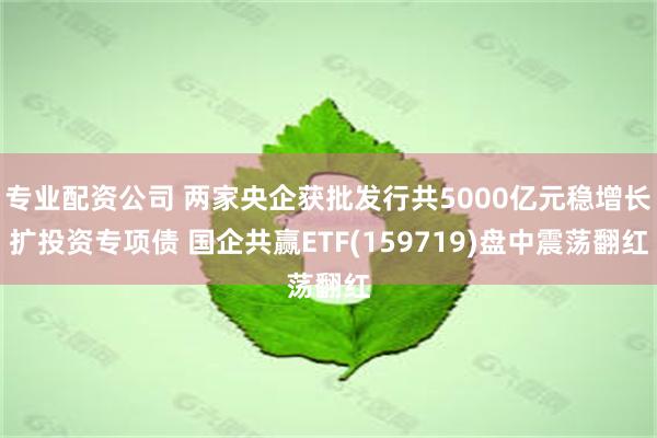 专业配资公司 两家央企获批发行共5000亿元稳增长扩投资专项债 国企共赢ETF(159719)盘中震荡翻红