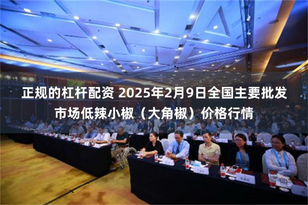 正规的杠杆配资 2025年2月9日全国主要批发市场低辣小椒（大角椒）价格行情